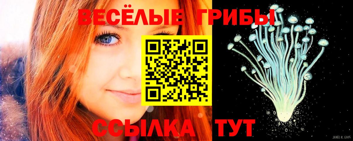 Галлюциногенные грибы Cubensis  что такое   Орехово-Зуево  Галлюциногенные грибы MAGIC MUSHROOMS  Вход с VPN 